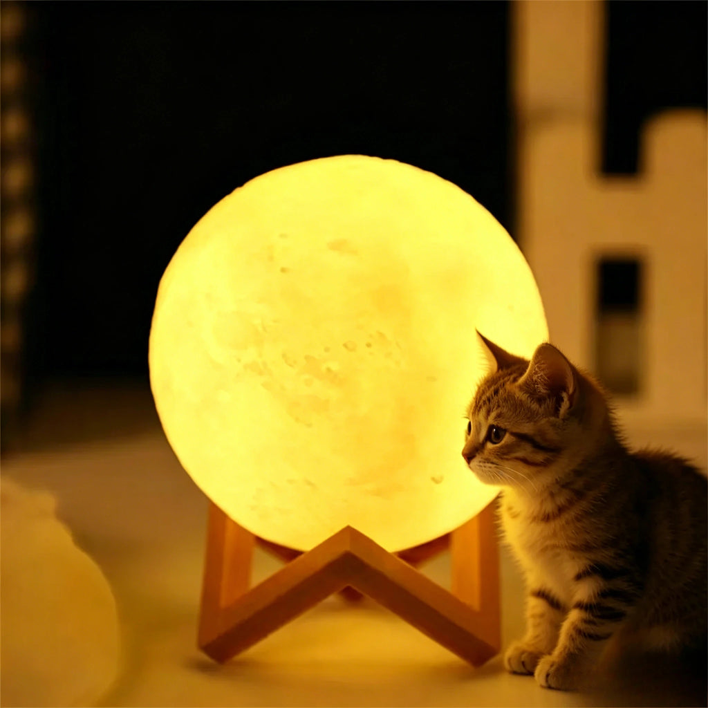 DIY Painting Moon Lamp Graffiti Planet Night Light 3D Star Table Lamp Bedroom Atmosphere Light Kids DIY Craft Home Decoration